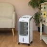 Enfriador portátil 3 en 1 ventilador y humidificador Smart Fresh Venta