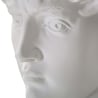 Escultura decorativa cabeza de hombre en resina 44x35,5x60 cm David Stock