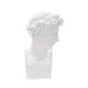 Escultura decorativa de resina blanca rostro masculino Enea Promoción