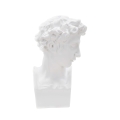 Escultura decorativa de resina blanca rostro masculino Enea Promoción