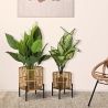 Set de 2 portamacetas redondos de ratán con soporte de metal negro Zeyok Venta