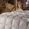 Edredón para cama de plaza y media 200x200 cm cuatro estaciones Islanda Oferta