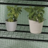 Invernadero para plantas de balcón con 3 estantes y cubierta protectora Tivar Catálogo