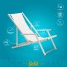 4 Tumbonas mar playa reposabrazos aluminio plegable Riccione Gold Lux Compra