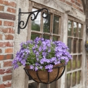 Cesta colgante con cadena y maceta de coco 35 cm Descueto