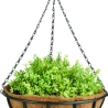 Cesta colgante con cadena y maceta de coco 35 cm Rebajas