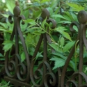 Bordura decorativa para parterre en hierro fundido 38cm Venta