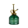 Nebulizador de vidrio verde para plantas y flores Venta