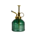 Nebulizador de vidrio verde para plantas y flores Descueto