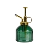 Nebulizador de vidrio verde para plantas y flores Descueto