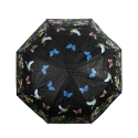 Paraguas fantástico con estampado de pajaritos que cambia de color con la lluvia Elección