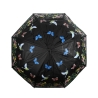 Paraguas fantástico con estampado de pajaritos que cambia de color con la lluvia Elección