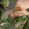 Juego de herramientas de jardinería para poda Descueto