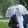 Paraguas transparente de cúpula decorativa con loro Venta