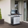 Barbacoa de gas de acero inoxidable 3 quemadores + 1 Davis Venta