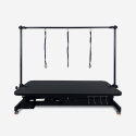 Mesa de peluquería ajustable y plegable para perros y gatos Chow Catálogo