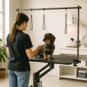 Mesa de peluquería canina regulable hidráulicamente 110 cm Griffon Rebajas