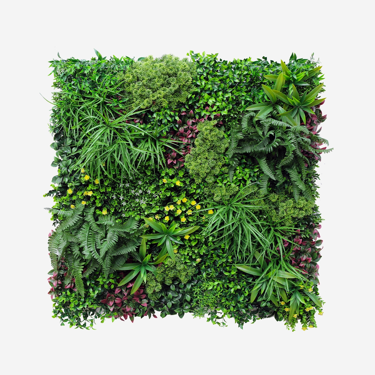 Seto artificial realista 100x100 cm plantas 3D exterior jardín Ilex Promoción