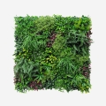 Seto artificial realista 100x100 cm plantas 3D exterior jardín Ilex Promoción