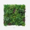 Seto artificial realista 100x100 cm plantas 3D exterior jardín Ilex Descueto