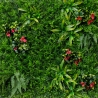 Seto artificial 3D panel 100x100 cm con plantas realistas Cerrum Rebajas