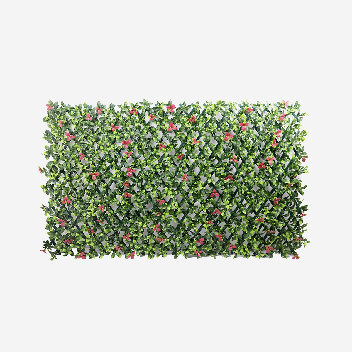 Seto artificial de jardín enrejado extensible 200x100cm plantas Salix Promoción