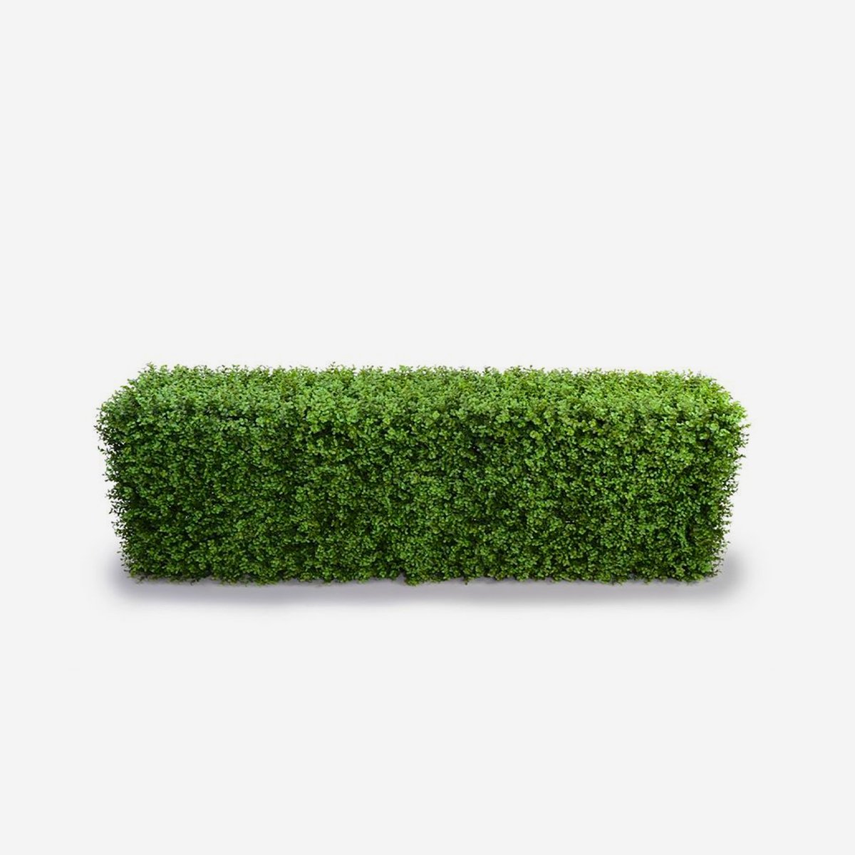 Seto artificial de boj para valla baja de jardín 158x33x56 cm Robuk Promoción