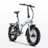 Bicicleta eléctrica ebike bicicleta plegable RSIII 250W Batería de litio Shimano Stock