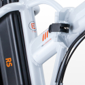 Bicicleta eléctrica ebike bicicleta plegable RSIII 250W Batería de litio Shimano Precio