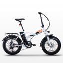 Bicicleta eléctrica ebike bicicleta plegable RSIII 250W Batería de litio Shimano Catálogo