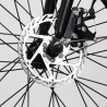 Bicicleta eléctrica ebike bicicleta plegable Mx25 250W Shimano Stock