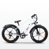 Bicicleta eléctrica ebike cruiser custom 250W RKS XR6 Shimano Descueto