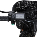 Bicicleta eléctrica ebike para mujer con canasta 250W RKS XT1 Shimano Catálogo