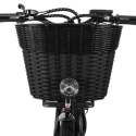 Bicicleta eléctrica ebike para mujer con canasta 250W RKS XT1 Shimano Stock