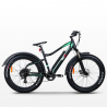 Bicicleta eléctrica ebike bicicletas fatbike MTB 250W MT8 Shimano Rebajas