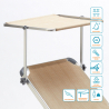 Tumbona de Aluminio para Playa con Toldo Ajustable Nettuno 