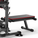 Máquina Musculación con Multiestación Press de Banca Dominadas Flexiones TRX Gym Yurei Stock