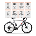 Bicicleta eléctrica ebike city bike 250W Shimano W6 Modelo