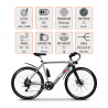 Bicicleta eléctrica ebike city bike 250W Shimano W6 Modelo