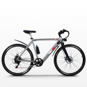 Bicicleta eléctrica ebike city bike 250W Shimano W6 Características
