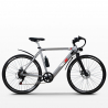 Bicicleta eléctrica ebike city bike 250W Shimano W6 Características