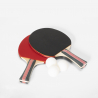 Mesa de ping pong profesional plegable con tensor de raqueta para pelotas Booster 274 x 152,5 cm