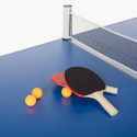 Mesa de ping pong interior plegable raquetas de red exterior Backspin 160x80 cm Catálogo