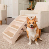 Escalera plegable para mascotas con 4 peldaños de plástico Diva Modelo