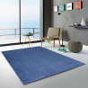 Entrada de la sala de estar con alfombra azul moderna Casacolora CCDEN Promoción