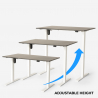 Diseño de escritorio eléctrico ajustable en altura para oficina y estudio Standwalk 120x60 Características