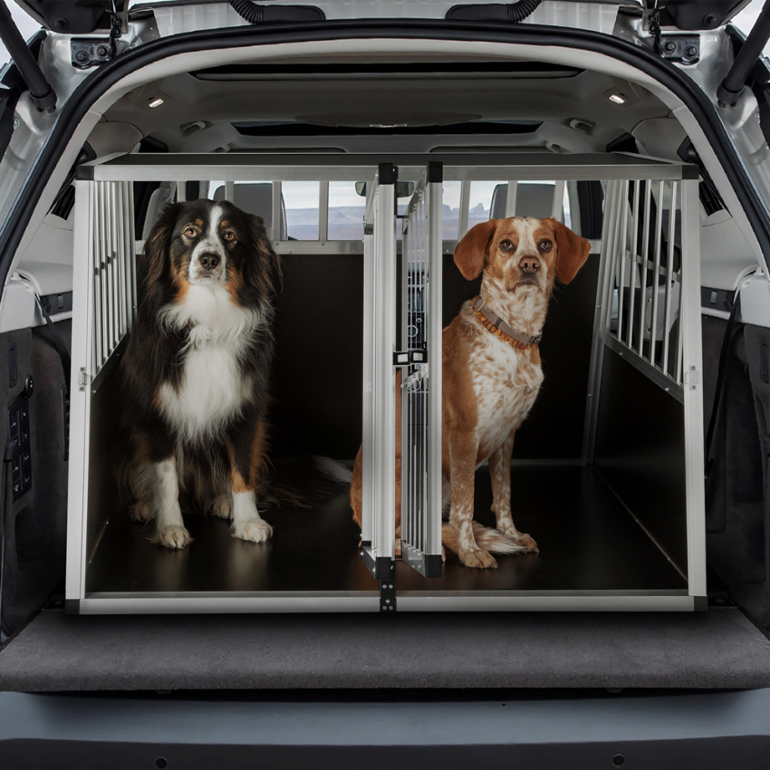 caseta rígida doble para perros jaula de transporte en aluminio 104 x 91 x 71 cm Skaut XL Promoción