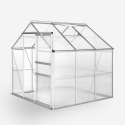 Invernadero para jardín de aluminio y policarbonato con puerta y ventana 183x185x205cm Vanilla Venta