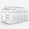 Invernadero para jardin de aluminio y policarbonato con puerta y ventana 183x305x205cm Pavonia Venta