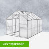 Invernadero para jardin de aluminio y policarbonato con puerta y ventana 183x305x205cm Pavonia Modelo